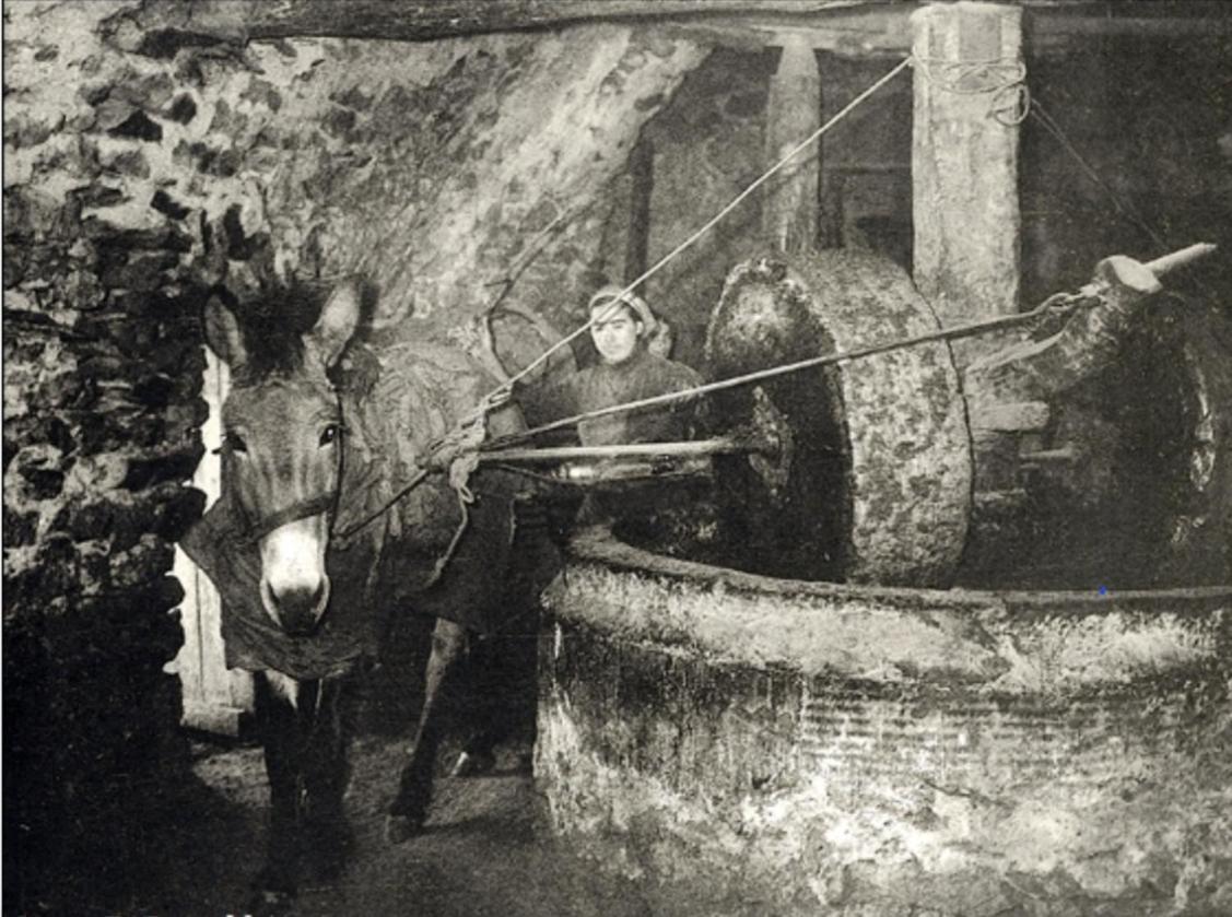 Olive Oil Mill Apartment Kokkala Exterior photo